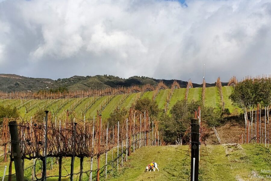 CloudsOverUmunhum7small