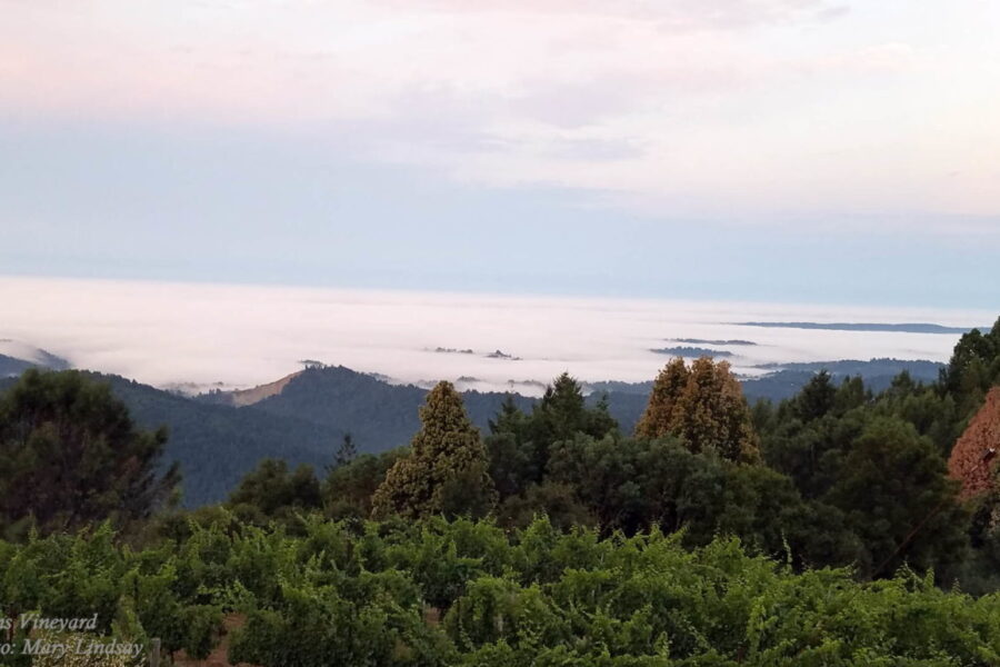 DawnFog1small-1