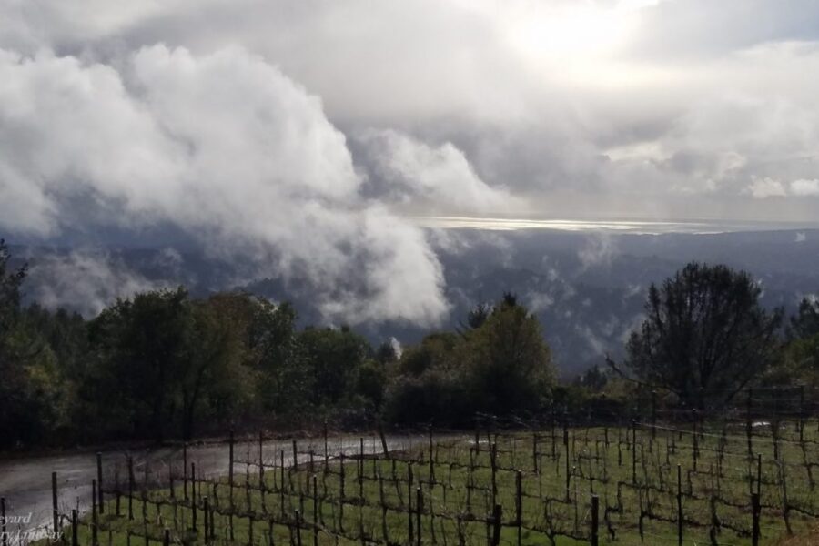 StormBreakCruz4small